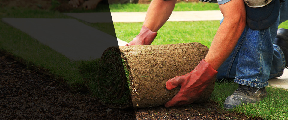 Fairton Landscapers
